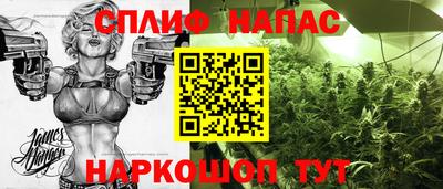 гидропоника Краснознаменск
